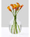 Serene Spaces Living Clear Glass Globe Vase 1