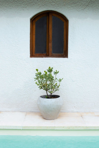 FIBROUY Bombé Fibrocement Planter with Unique Design 2