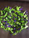 Artificial Vine Flower Strips 5 Strips 2m Each 8