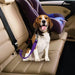 Tunan Safety Leads - 6 Adjustable Pet Safety Belts 3