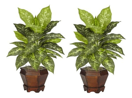 Nearly Natural Dieffenbachia Casi Natural 6712-vr-s2 With Wooden Vase 0