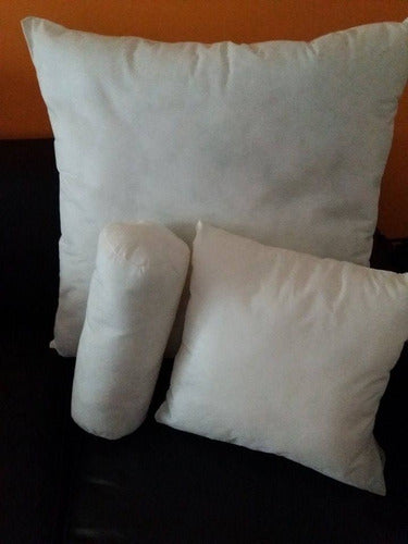 Premium Soft Filling Cushion 50 cm x 30 cm 2