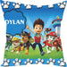Personalized Favorite Character Pillow Cushion 0