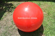 Pelota Esferodinamia Gym Ball 75 Cm 1200 Gramos Pilates Reha 2