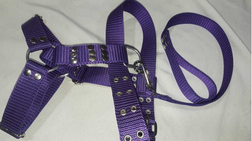 Reinforced Nato Harness for Large Breed Dogs with Leash 5