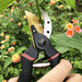 Gonicc 8 Premium Titanium Pruning Shears (GPPS-1003) 7