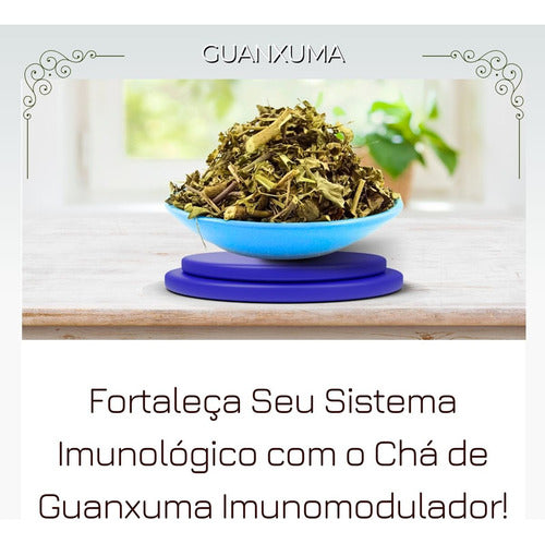 Chá Guanxuma Erva Seca Proprio Para Cha 30g 4