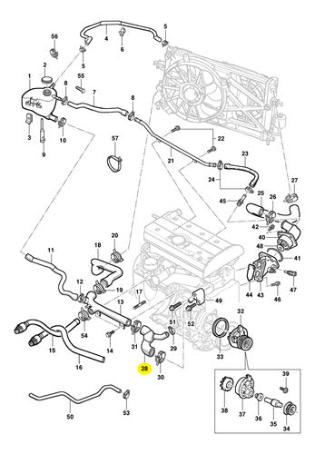 Cauplas Rigid Hose to Water Pump for Chevrolet Zafira 16V 3