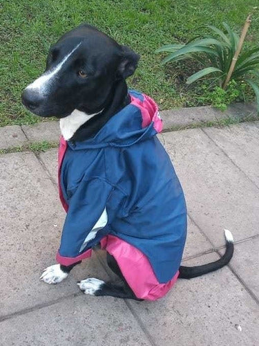 Piloto Impermeable Para Perro Hecho A Medida. 6