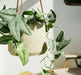 Decotech Large Nordic Style Hanging Ceramic Planter 2