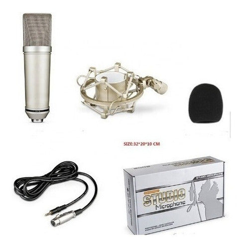 Hügel BV-97 Cardioid Condenser Microphone with Spider Support and Windshield 1