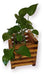 Set of 4 Decorative Pine Planters with Potus Fern Handles 5