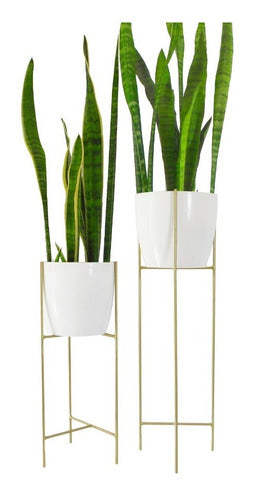 Combo-2 Treben 27 Plant Pot Stands 4560 Gold + 2 D27 Pots 0