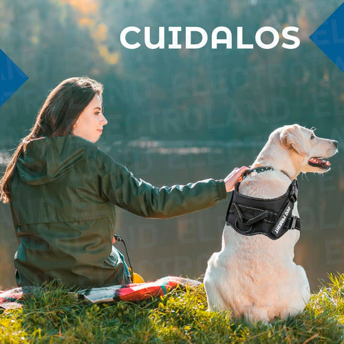 Padded Adjustable Dog Harness Chest Plate for Dogs 62