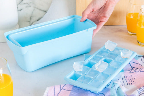 Blue Pastel Ice Tray with Container 27.5cm x 12.5cm 1