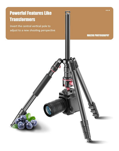 Cambofoto 74-Inch Professional Camera Tripod 3