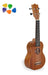 Parquer Electro Soprano Ukulele with Case and Aquila Strings 4