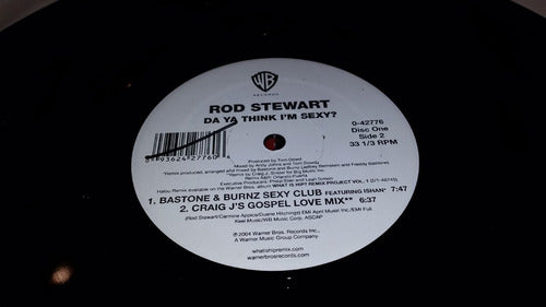 Rod Stewart Da Ya Think Im Sexy Remix Vinilo Doble Us 2004 1