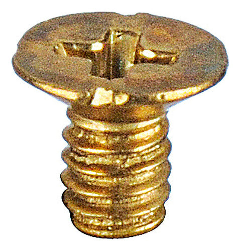 Tornillo 5/32 X 1/4 De Bronce Para Reja Rejilla Pack X10 Un 2