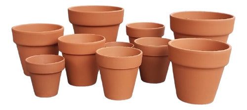 Pack Clay Succulent Cactus Planters Assorted Sizes Promo 0