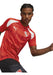 Puma CAI Prematch 2023/2024 Men's Training Red T-Shirt 0