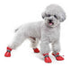 Gabefish Waterproof Non-Slip Socks for Dogs 5