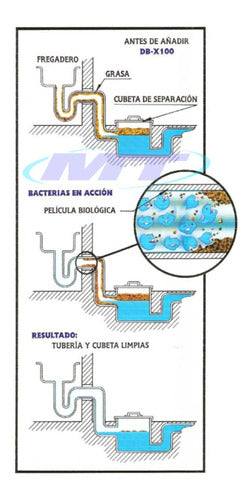 Destapa Cañerías Bacteria Dbx-100 1