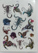 Temporary Self-Adhesive Tattoos Variety Pack 6 Sheets 43