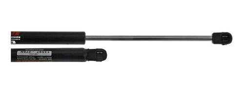 Set of 2 Liftgate Tailgate Struts for Renault Clio 00/12 0