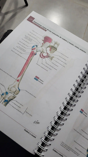 Anatomic Atlas De Anatomía Humana 4