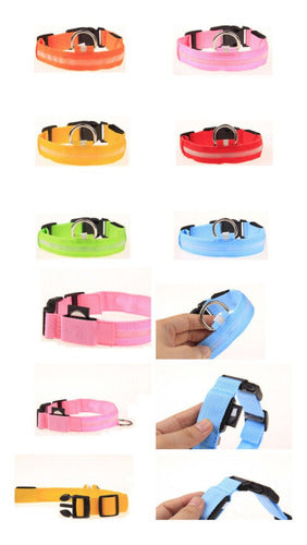 CC LED Light Collars for Pets - Rechargeable XS-S-M 5