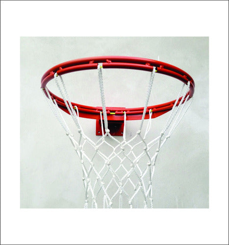 Aro Basquet Profesional Macizo Rebatibl/red Estamos Enviando 4