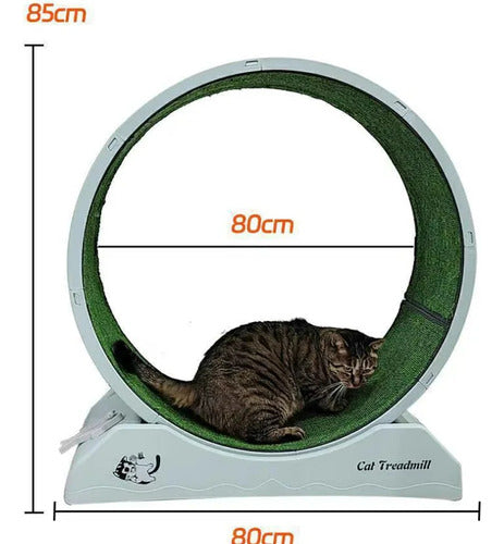 Generic Exercise and Fun Wheel for Cats and Dogs 2