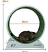 Generic Exercise and Fun Wheel for Cats and Dogs 2