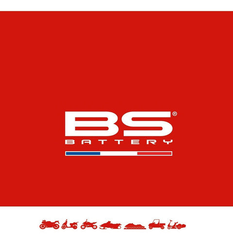 BS Battery BTX20CH AGM Motorcycle Battery for Honda Varadero XLV 1000 1