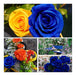 AnotherGifts Silk Rose Bouquet - Artificial Flower Decor 3