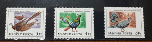 Hungary Stamps Birds Theme 6 Mint Stamps 1977 2