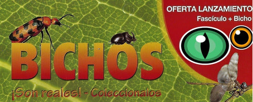 National Geographic Collection of Bugs - La Nacion Bug Collection with List of Titles Included - Lote Coleccion Bichos La Nacion Lista Adjunta De Titulos