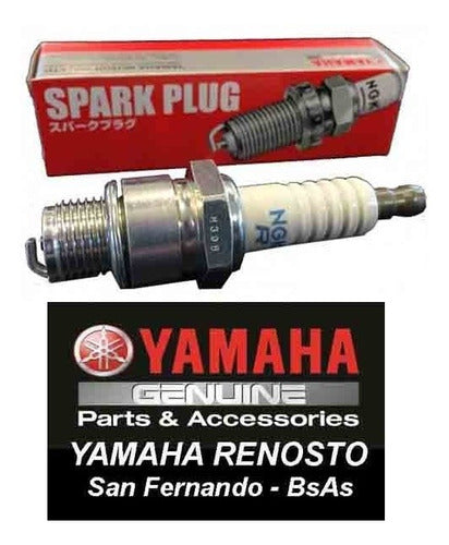 NGK Japanese Spark Plug for Suzuki 15HP 2T DT15 1