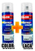 Automotive Touch-Up Bicolor Spray Paint Kit Glossy Finish 1