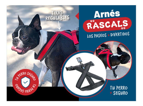 Padded Premium Large Dog Harness Rascals 6