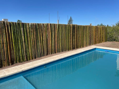 Buenos Aires Bambu Panel De Caña De Bambu Tacuara 1mx1.20m Altura 1