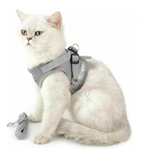 Padded Harness with Leash for Small Dogs and Cats - Various Sizes 5