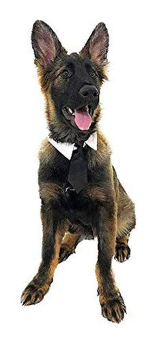 Midlee Formal Black Dog Tie Por 4