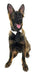 Midlee Formal Black Dog Tie Por 4