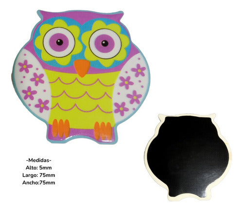 Set of 4 Ceramic Owl Magnets for Fridge Decoration Souvenir Assorted 1