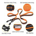 Creation Core Reflective Multi-Functional Dog Leash 1