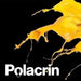 Polacrin Enduido Plastico Interior Exterior Talento 10 L 2