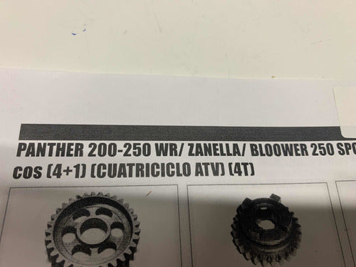 Panther 200 250WR Zanella Primary Shaft Gearbox 5