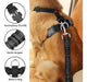 Slowton - Dog Car Harness with Connector Leash 4